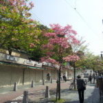 イノベーター（時代を変革するもの）～軍資金ゲットの話～