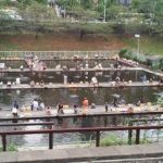 Danny Kaye with New York Philharmonic