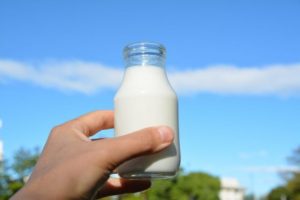 減塩と牛乳信仰のウソ