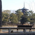 Living in this city~奈良に住むということ~