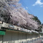 未来を思い出す～Thinking of You～